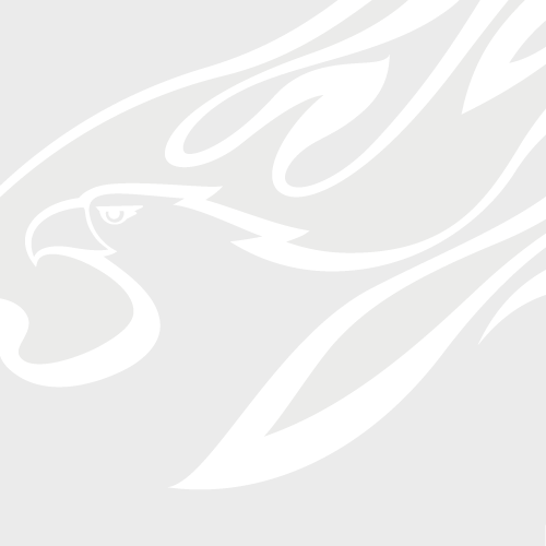 期限付き移籍中選手の写真を紹介